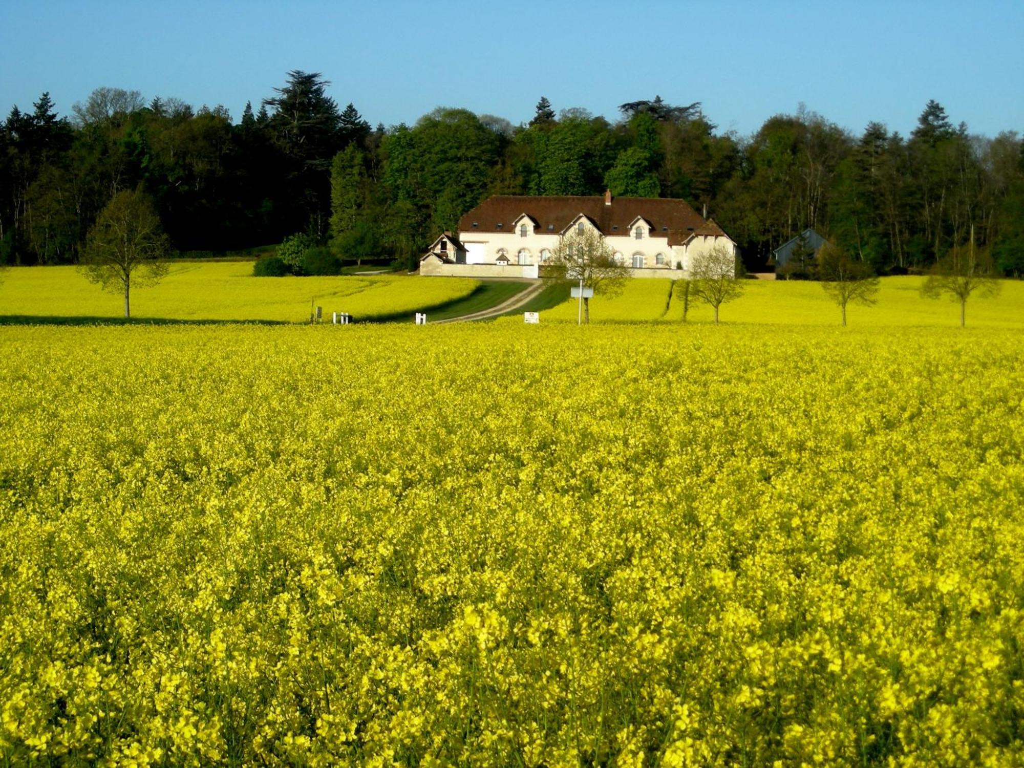 Domaine De La Maison Neuve Saint-Jean-Saint-Germain Luaran gambar
